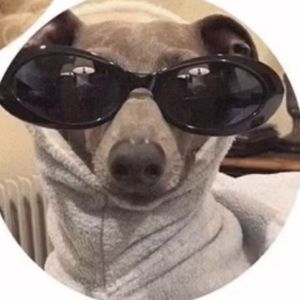 Meet your Posher, Anna